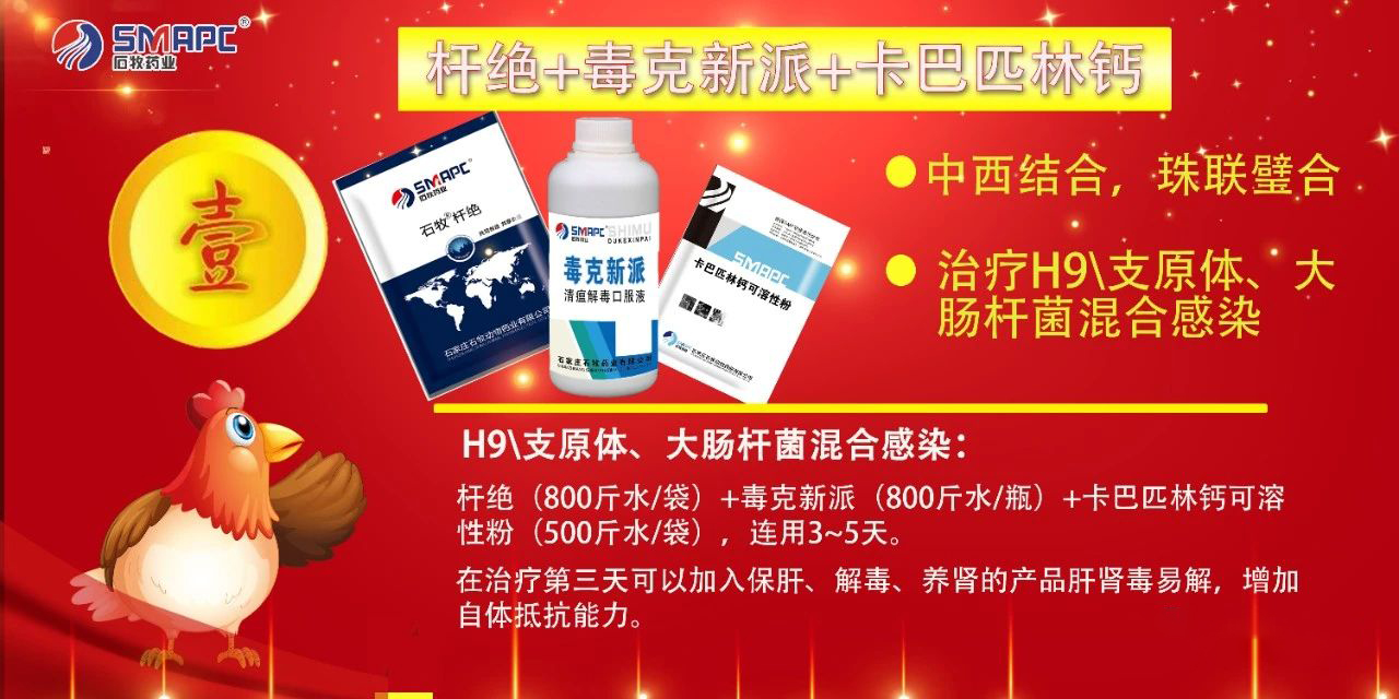 bte·365(中国)体育在线官网