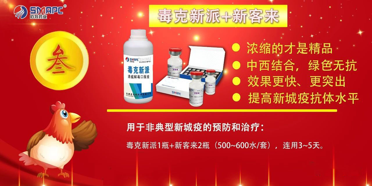 bte·365(中国)体育在线官网