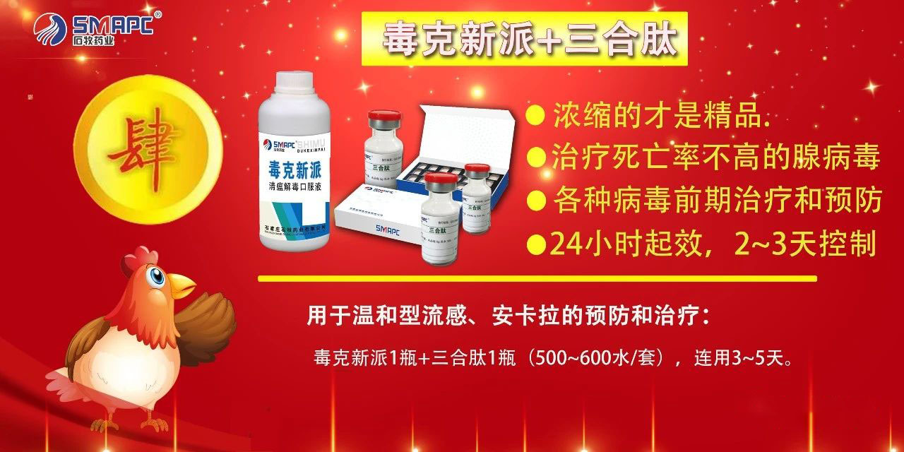 bte·365(中国)体育在线官网