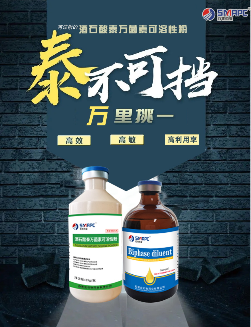 bte·365(中国)体育在线官网