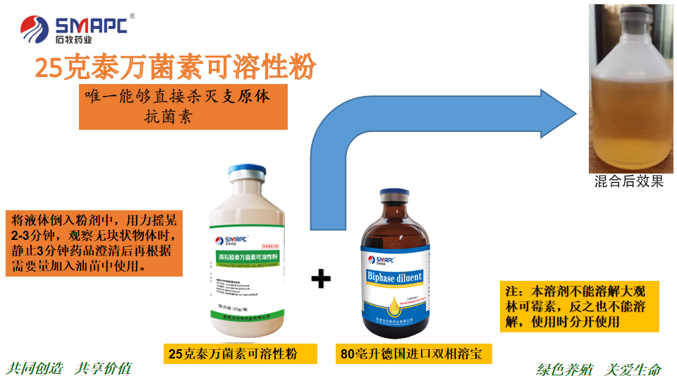 bte·365(中国)体育在线官网