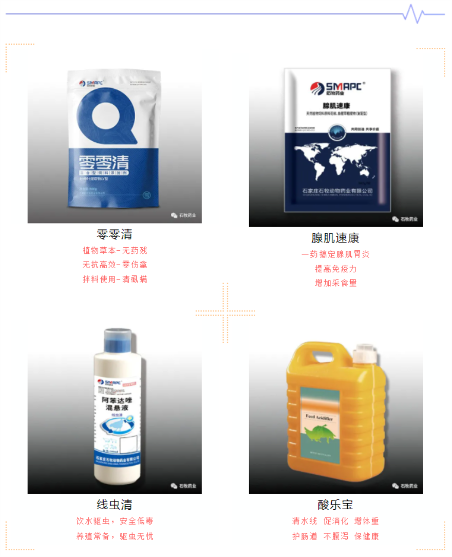 bte·365(中国)体育在线官网