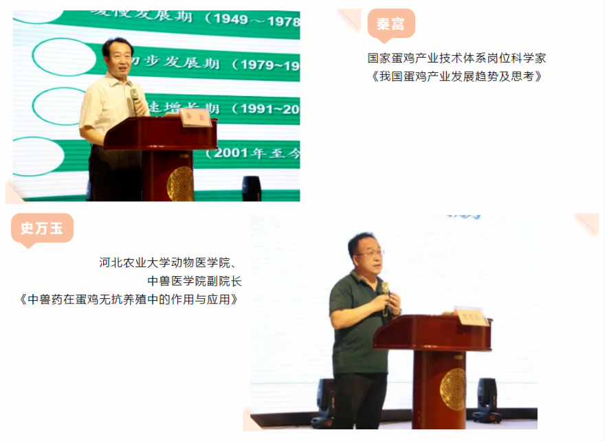 bte·365(中国)体育在线官网