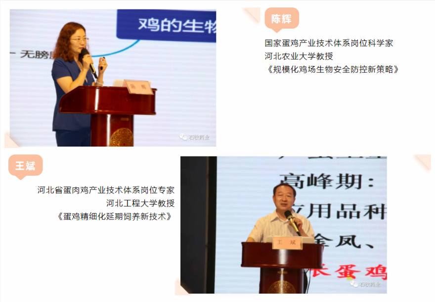 bte·365(中国)体育在线官网