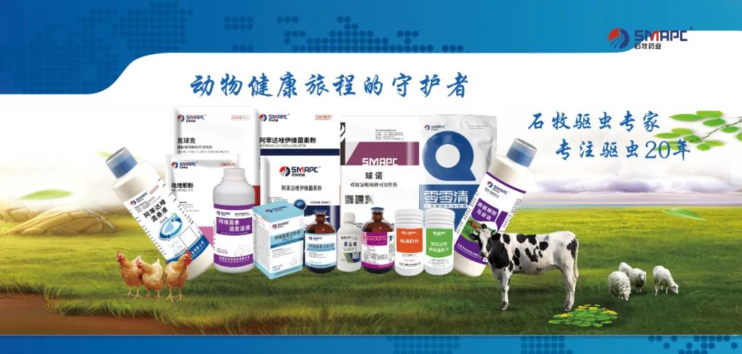 bte·365(中国)体育在线官网