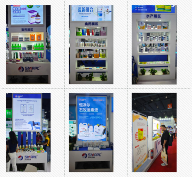 bte·365(中国)体育在线官网