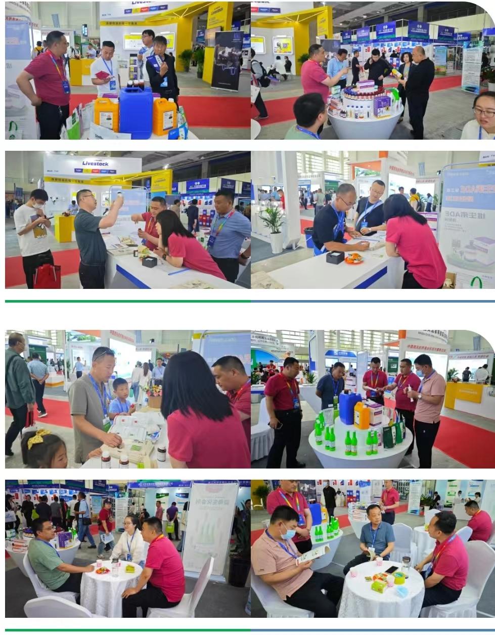 bte·365(中国)体育在线官网