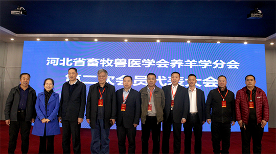 bte·365(中国)体育在线官网