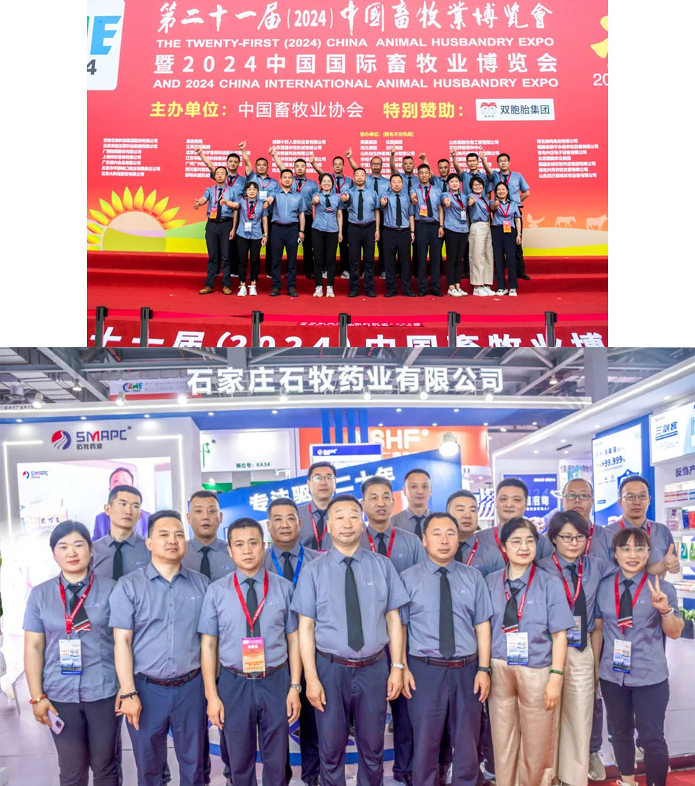 bte·365(中国)体育在线官网