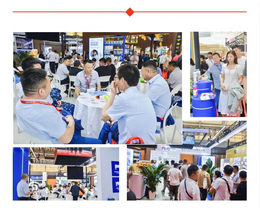 bte·365(中国)体育在线官网