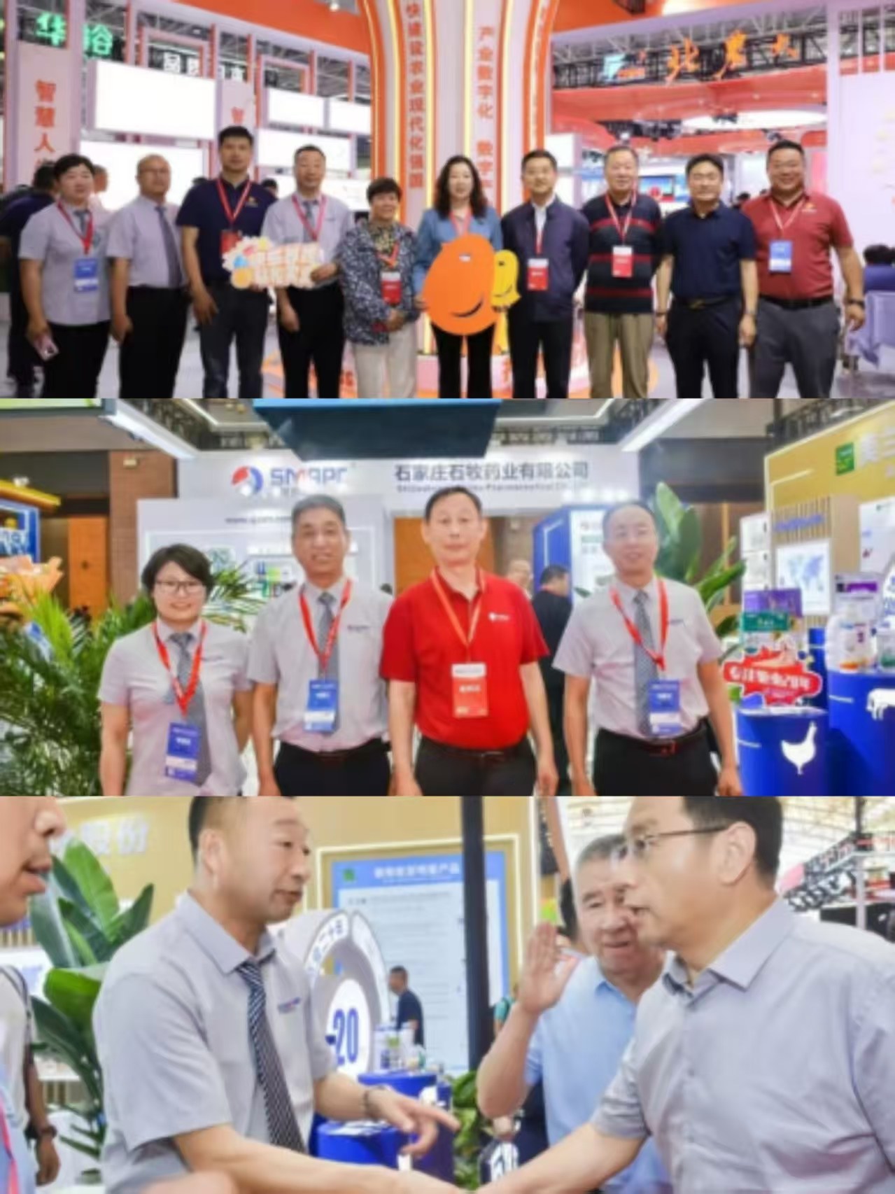 bte·365(中国)体育在线官网